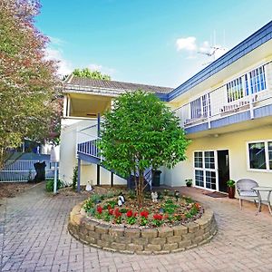 Anglesea Motel And Conference Centre